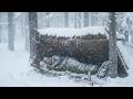 Surviving 2 Days in a Massive Snowstorm at -31°C Inside a Hot Tent With Luxury Meals