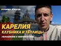 Клубника в Карелии. Теплица для Севера за 7 миллионов