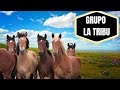 EL TIEMPO ES CORTO | GRUPO LA TRIBU  | MÚSICA NORTEÑA CRISTIANA