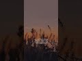 قالب قرآن رعد الكردي 36 يس YĀ SEEN قالب قرآن رعد الكردي 36 يس YĀ SEEN
