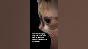 they really open-sourced open ai