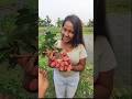 Lichi Juice 🥤, Couple 🧑‍🤝‍🧑 vlog 🥰 #shorts #cooking #vlog #food #lifestyle
