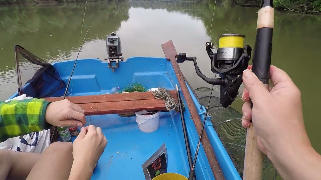 AMUR KAPÁS KUTTYOGTATVA:) + KÁRÁSZ ÉS KESZEG HORGÁSZAT + PONTY HORGÁSZAT TISZAVIRÁGZÁS IDŐSZAKÁBAN.