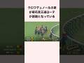 クロワデュノールの弟が菊花賞王道ローテが話題となっている #競馬 #競馬予想 #shorts