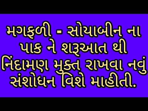 આજની કૃષિ માહીતી કૃષિ-મગફળી-સોયાબીન ના પાક ને શરૂઆત થી નિંદામણ મુક્ત રાખવા નવું સંશોધન વિશે માહીતી