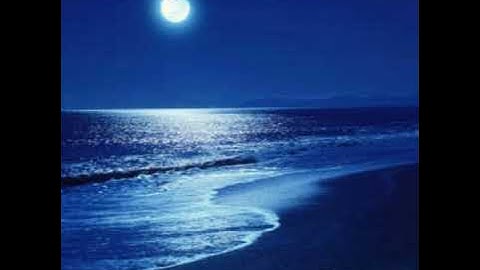 القارئ . الحسين بوسكسو