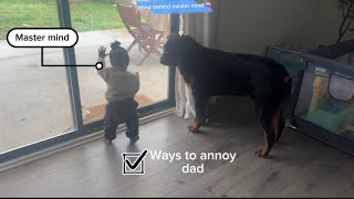 When your dog and your baby gang up to annoy 🤣