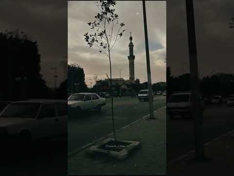 مساكين بنضحك في البلوه حالات واتس