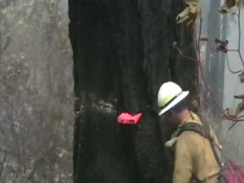 Falling Fire Video