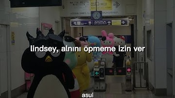 「💒」mccafferty - beachboy (türkçe çeviri) •istek çeviri