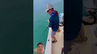 #fishing #fish #shortvideo #harekfriendkaminahotahai #fishcatching #fish #fishing