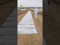 Ebola Outbreak: WHO Declares Emergency