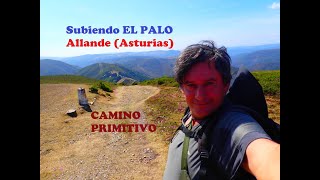 SUBIENDO A EL PALO (ALLANDE, ASTURIAS) CAMINO PRIMITIVO DE SANTIAGO