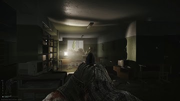 Tarkov Desync in a nutshell.