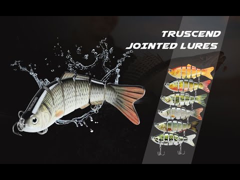 Truscend Fishing lures , the 8 Segments lures 