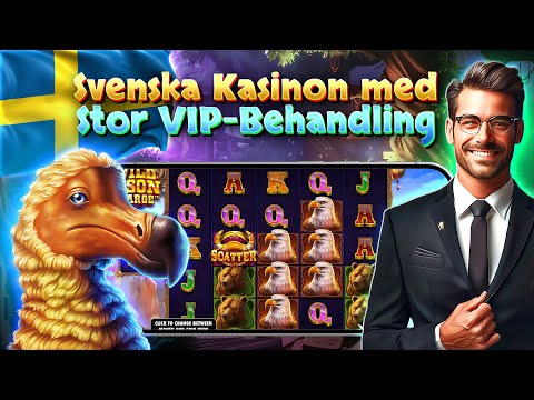 Svenska Kasinon med Stor VIP Behandling 💠 svenska spel och casino