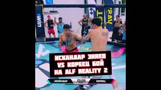 Искандар Зияев vs Кирилл Кореец бой на Alf Reality 2