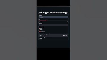 Streamlit basic app User form