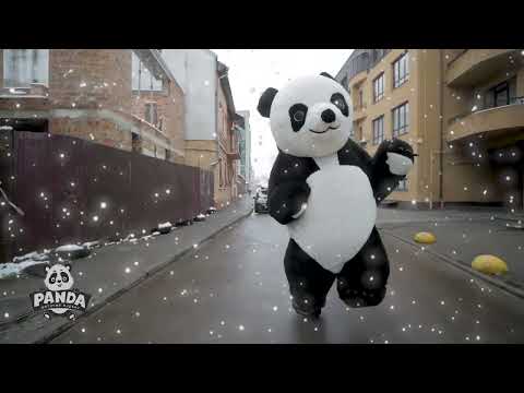 Видео: PANDA