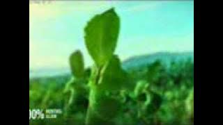 Download lagu RCTI La Menthol 23 41