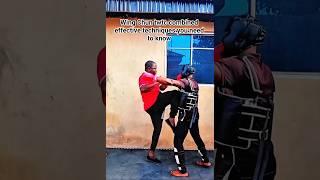 Wing Chun Twtc Combined Effective Techniques wingchun martialarts kungfu selfdefense fyp