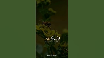 وأوحى ربك إلى النحل ان اتخذي من الجبال بيوتا | القارئ : خالد الجليل |