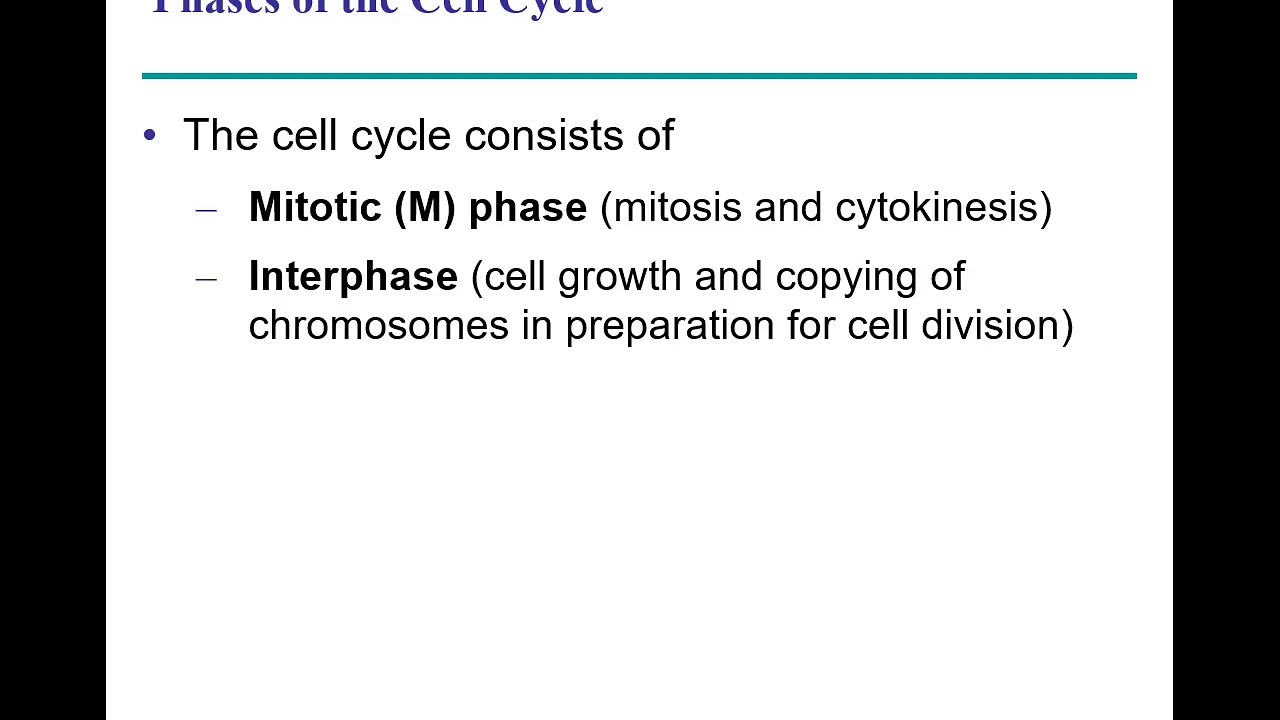 Cell Cycle | Interphase | Part 2| Zoology|
