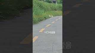 #백년설 #나그네설음 #16노래가좋아 #웹서핑선곡 #서승도동영상 #한국가요 #트로트 #koreantrot #koreantrotmusic #Koreansinger