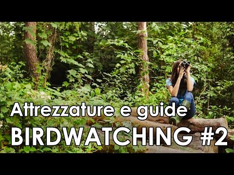 Video-corso di birdwatching #2 - Attrezzature e guide