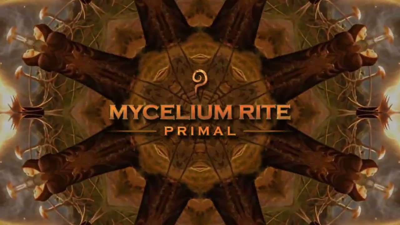 Watch Primal - Impulsive Responses on YouTube Watch Primal - Impulsive Responses on YouTube