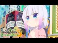 New York Dragon | Miss Kobayashi's Dragon Maid S