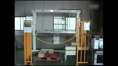 Video of automatic palletizing system with manipulator