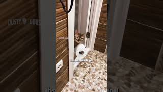 Mashup 106 EXTENDED EDITION voiceover voiceovers cat cats feline felines funny shorts