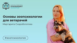 Основы зоопсихологии для ветврачей, лектор Маргарита Скоробогатова