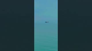 Ship #ship #sea #seashanty #seashanties #seashorts #wellerman #hoistthecolours #acapella #bass #fun
