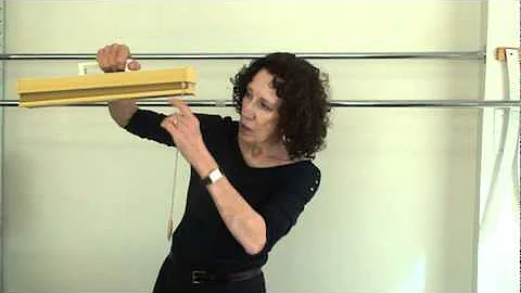 Susan Gill talks about her INSPIRE 2011 class "How...