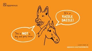 AppNexus Razzle Dazzle Sizzle 2015