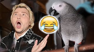 Жако Петруня пародирует БАСКОВА😱 Parrot Jaco Petunia parodies singer Baskov