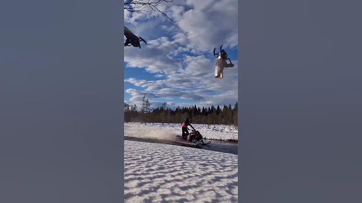 Snowmobile Madness 😎 @adamthomelius #snowmobile #epic #sendit #skidoo #winter #snow #polaris #crazy