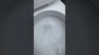 Toto Front Flusher Flushes