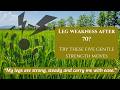 Leg Weakness After 70 Try These 5 Gentle Strength
