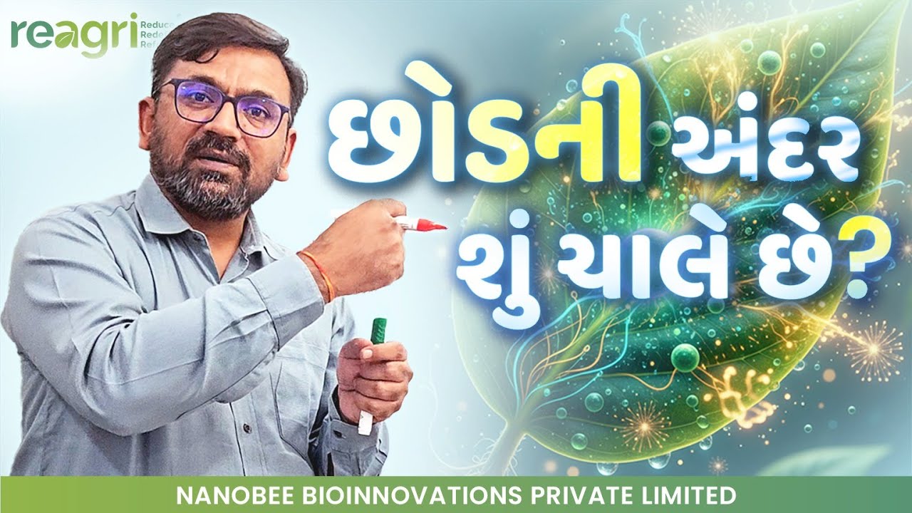 જાણો કઈ રીતે છોડનું 'એન્જીન' ચાર્જ થશે અને ખાતરની તાકાત વધશે?| Plant Transport System | નયન ગોધવિયા