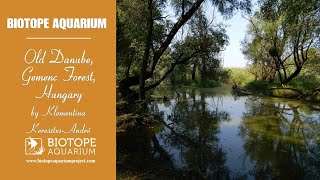 Old Danube, Gemenc Forest, Hungary. By K. Keresztes-André. Sponsored By