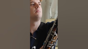 Allemande on Bassoon at Zak the Baker | Bach in Miami