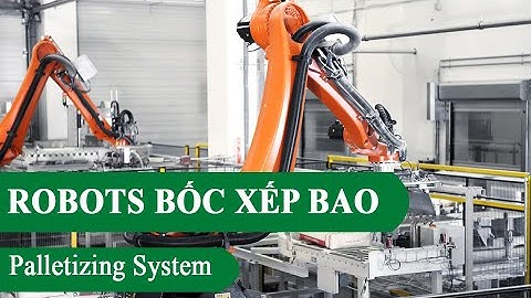 Robots bốc xếp thùng hàng tự động | Palletizer System