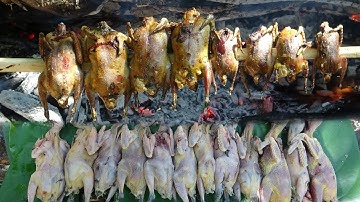 PHỤC CÂY ĐA CHIM ĂN QUẢ, TRẢI NGHIỆM SĂN BẮT NẤU NƯỚNG - THỢ NÚI