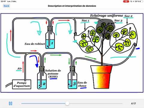 Vidéo: L'impact De La Profondeur De Séquençage Sur La Composition Taxonomique Présumée Et Le Contenu Du Gène AMR Des échantillons Métagénomiques