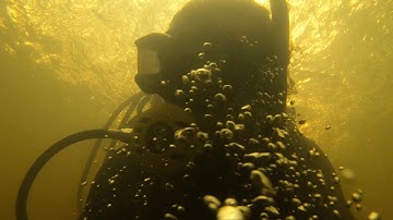 Florida Rivers are full of ICE AGE FOSSILS - Fossil Hunting in Florida