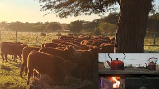 ESTANCIA UN DIA EN EL CAMPO