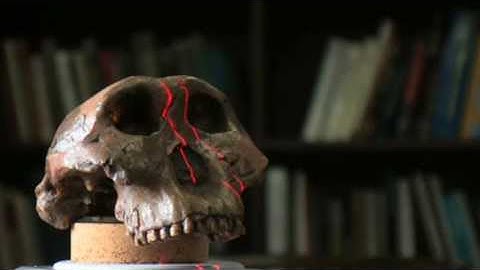 Dr. Matt Tocheri uses the NextEngine 3D Scanner - Part 1